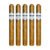 PACK OF 5
