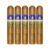 PACK OF 5
