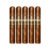 PACK OF 5