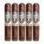 PACK OF 5