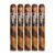 PACK OF 5