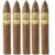 PACK OF 5