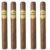 PACK OF 5
