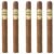 PACK OF 5