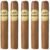 PACK OF 5