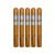 PACK OF 5
