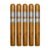PACK OF 5