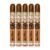 PACK OF 5