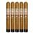 PACK OF 5