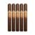PACK OF 5