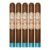 PACK OF 5