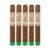 PACK OF 5