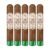 PACK OF 5