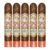 PACK OF 5