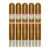 PACK OF 5