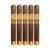 PACK OF 5