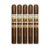 PACK OF 5