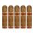 PACK OF 5