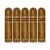 PACK OF 5