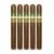 PACK OF 5