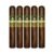 PACK OF 5