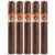 PACK OF 5