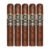 PACK OF 5