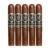 PACK OF 5