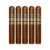 PACK OF 5
