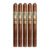 PACK OF 5