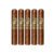 PACK OF 5