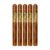 PACK OF 5