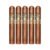 PACK OF 5