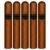 PACK OF 5