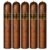 PACK OF 5
