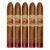 PACK OF 5