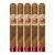 PACK OF 5