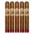 PACK OF 5