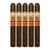PACK OF 5