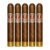 PACK OF 5