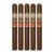 PACK OF 5