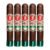 PACK OF 5