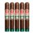 PACK OF 5