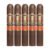 PACK OF 5