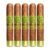 PACK OF 5