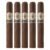 PACK OF 5