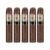 PACK OF 5