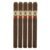 PACK OF 5