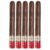 PACK OF 5