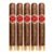 PACK OF 5